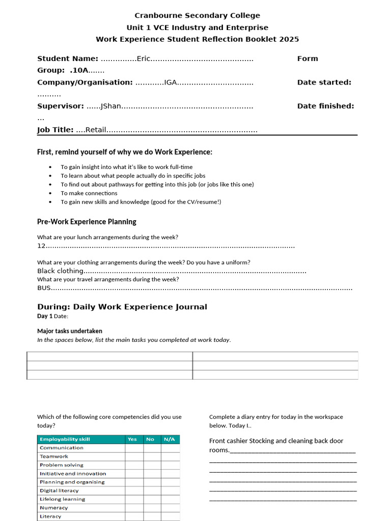 Work Experience Reflection Worksheet 2025 | PDF | Cognition