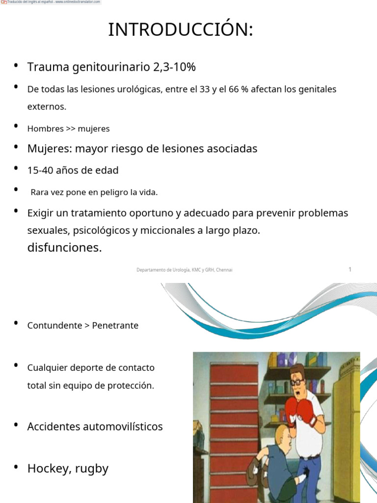Trauma Genitales Externos Espñ | PDF | Testículo | Especialidades Medicas