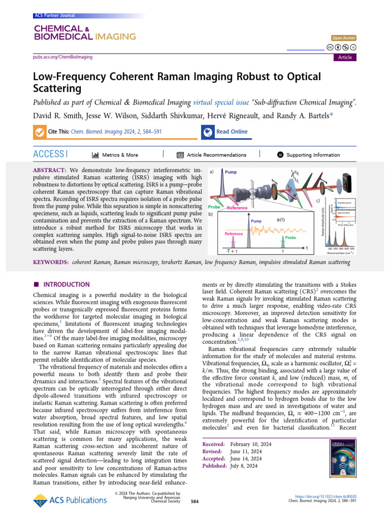 Low Frequency Coherent Raman Imaging Robust To Optical Scattering | PDF ...