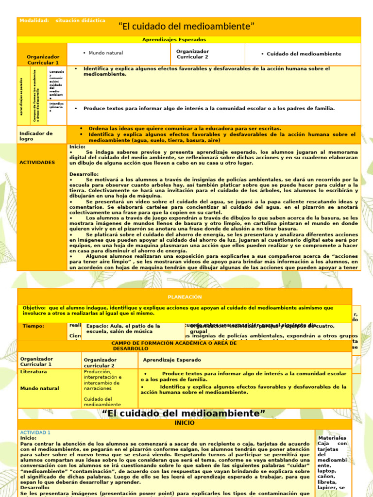 EL CUIDADO DEL MEDIO AMBIENTE V | PDF | Entorno natural | Aprendizaje