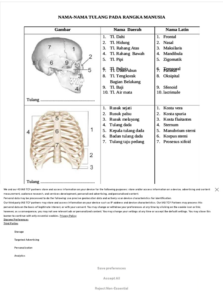 pdf_p_classtruncatedtext_module_lineclamped_85ulhh_style_max_lines5nama ...