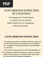 Meat Inspection Procedures Overview | PDF | Animal Slaughter | Meat