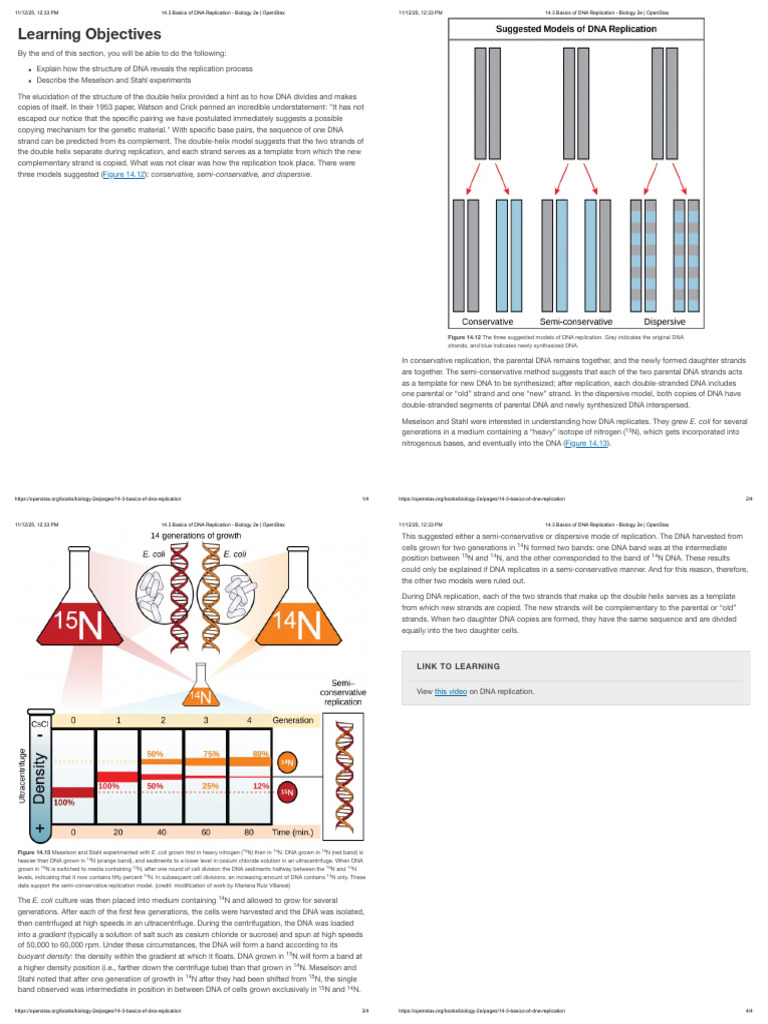 14.3 Basics of DNA Replication - Biology 2e _ OpenStax | PDF | Dna ...