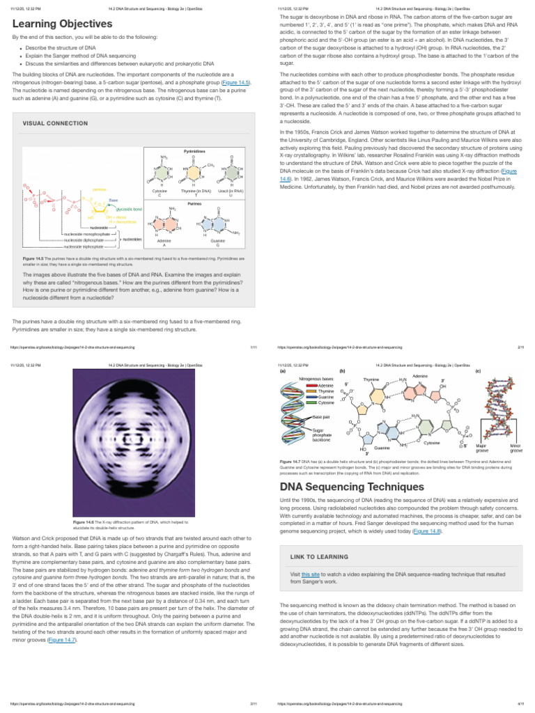 14.2 DNA Structure and Sequencing - Biology 2e _ OpenStax | PDF | Dna ...