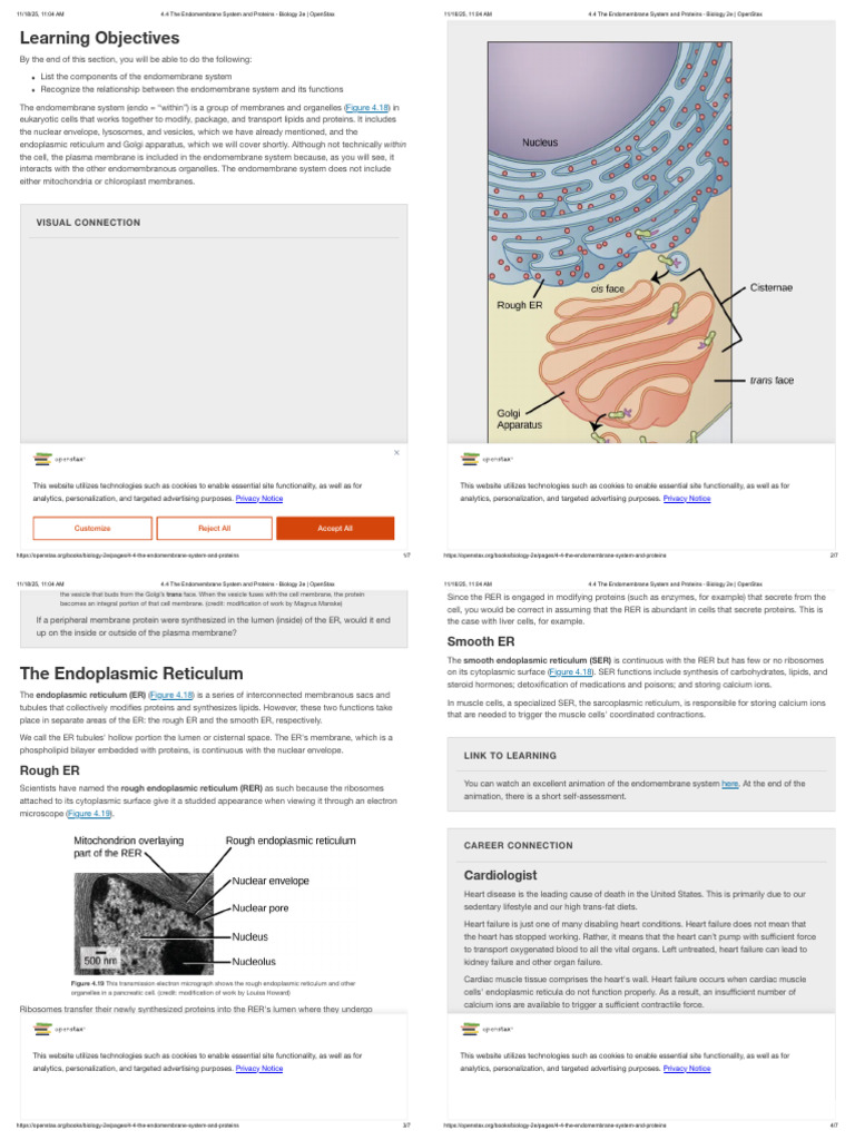 4.4 the Endomembrane System and Proteins - Biology 2e _ OpenStax | PDF ...
