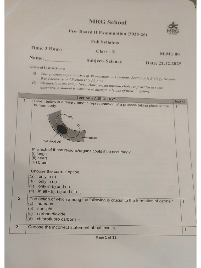 MRG School PB 2 Science | PDF