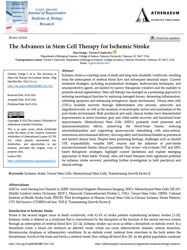The Advances in Stem Cell Therapy For Ischemic Stroke | PDF ...