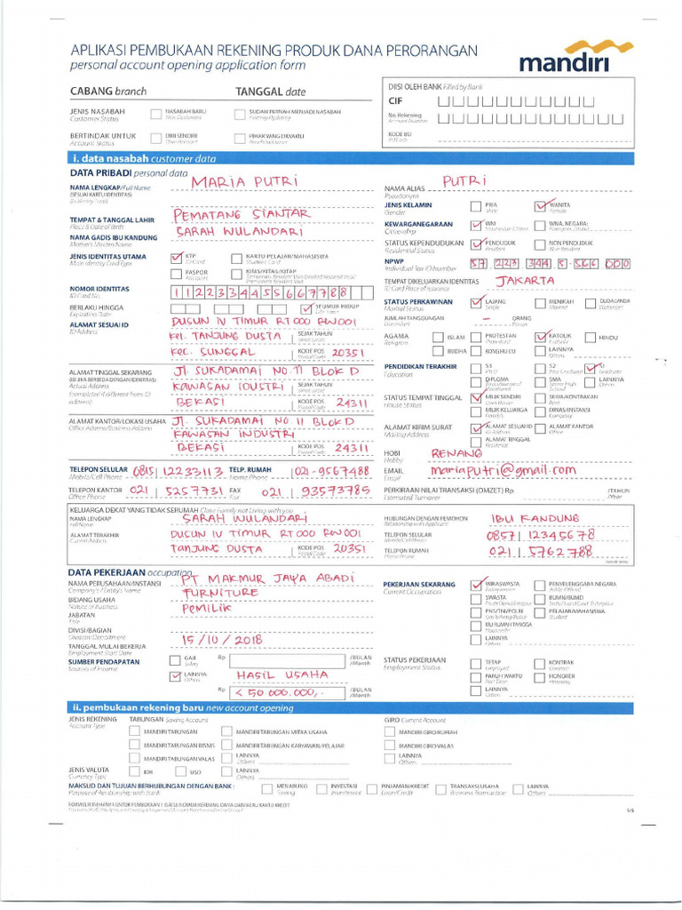 RDN Mandiri Sample | PDF