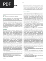 Understanding RWMA in Echocardiography | PDF | Ventricle (Heart ...