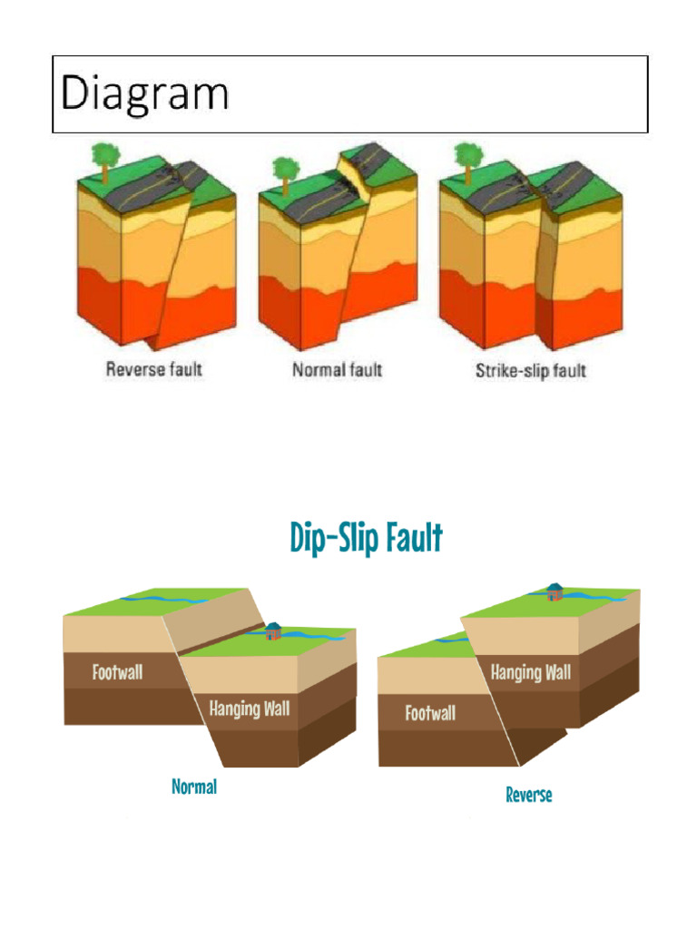 Science Faults | PDF