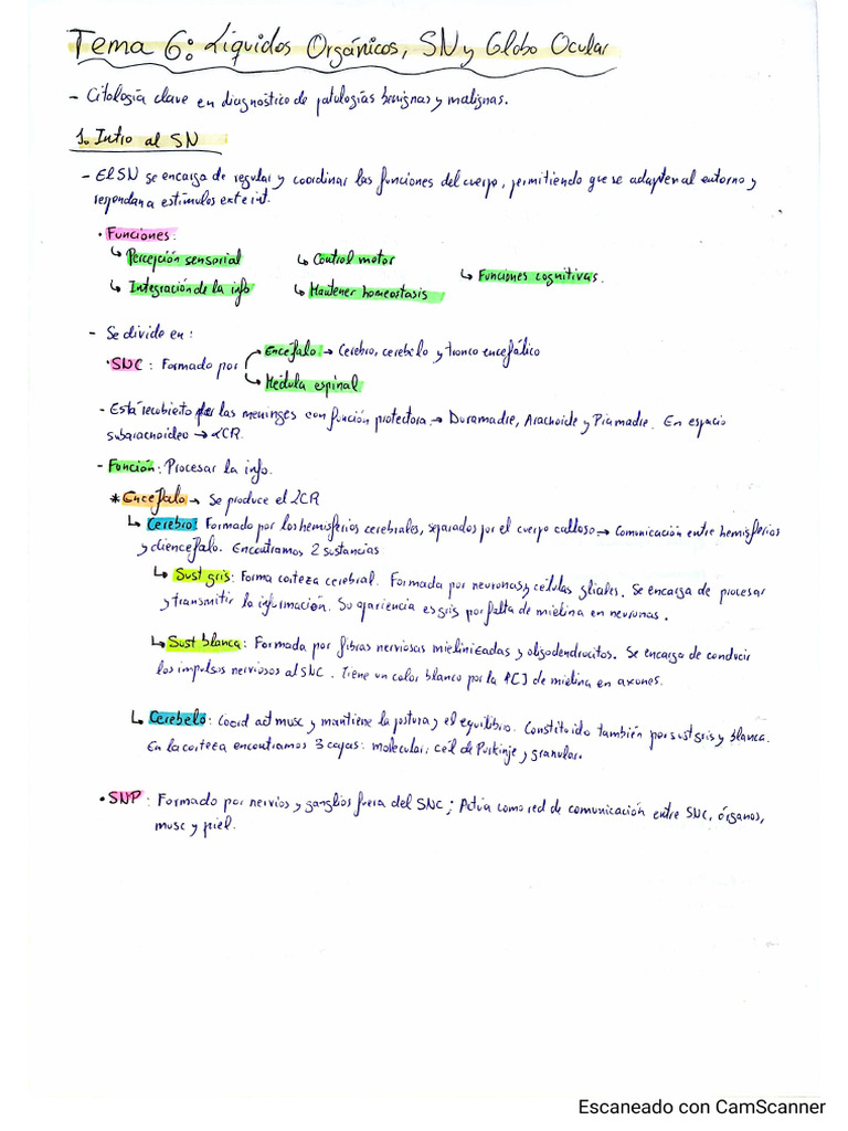 Esquema Tema 6 CGe | PDF