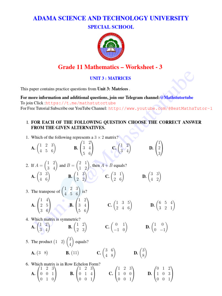 G11 Math Unit -3 Work Sheet | PDF | Matrix (Mathematics) | Linear Algebra
