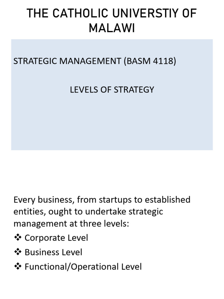 Levels of Strategy Revised | PDF | Strategic Management | Goal
