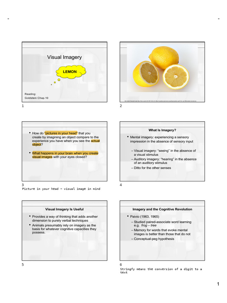 PSY294 Session05 VisualImageryAndLanguage v02 Uploaded Compatibility ...