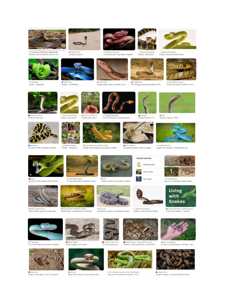 Snake Photos | PDF