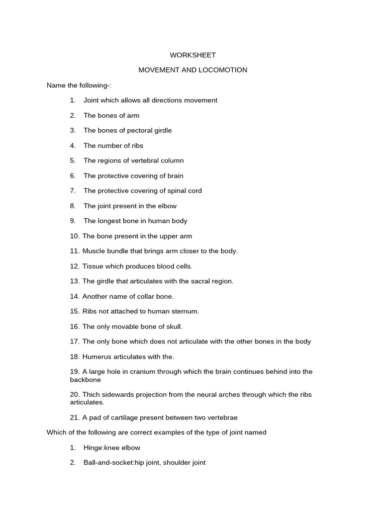 Worksheet | PDF | Vertebra | Skeleton