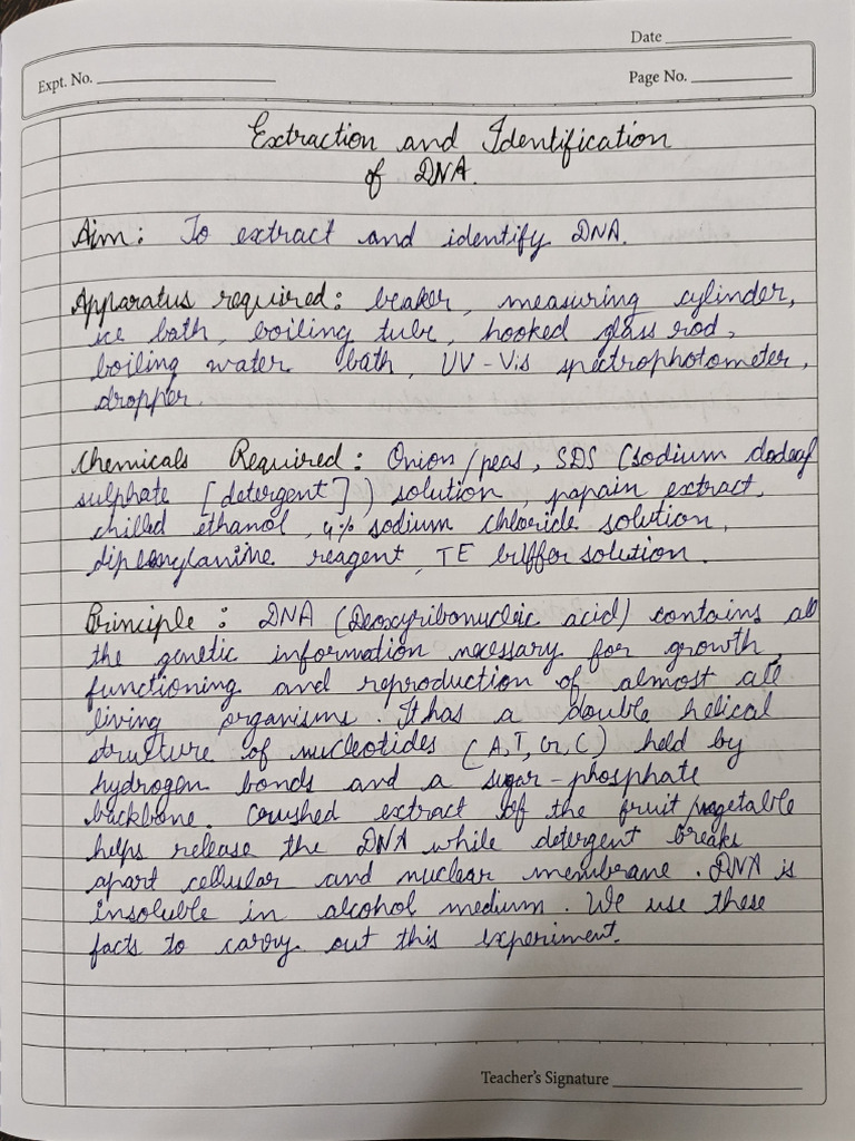 Extraction of DNA Final | PDF