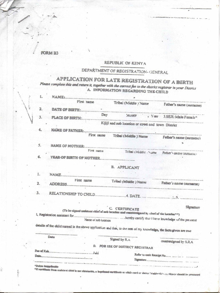 Late Birth Registration Form 20260119 - 12453003 | PDF