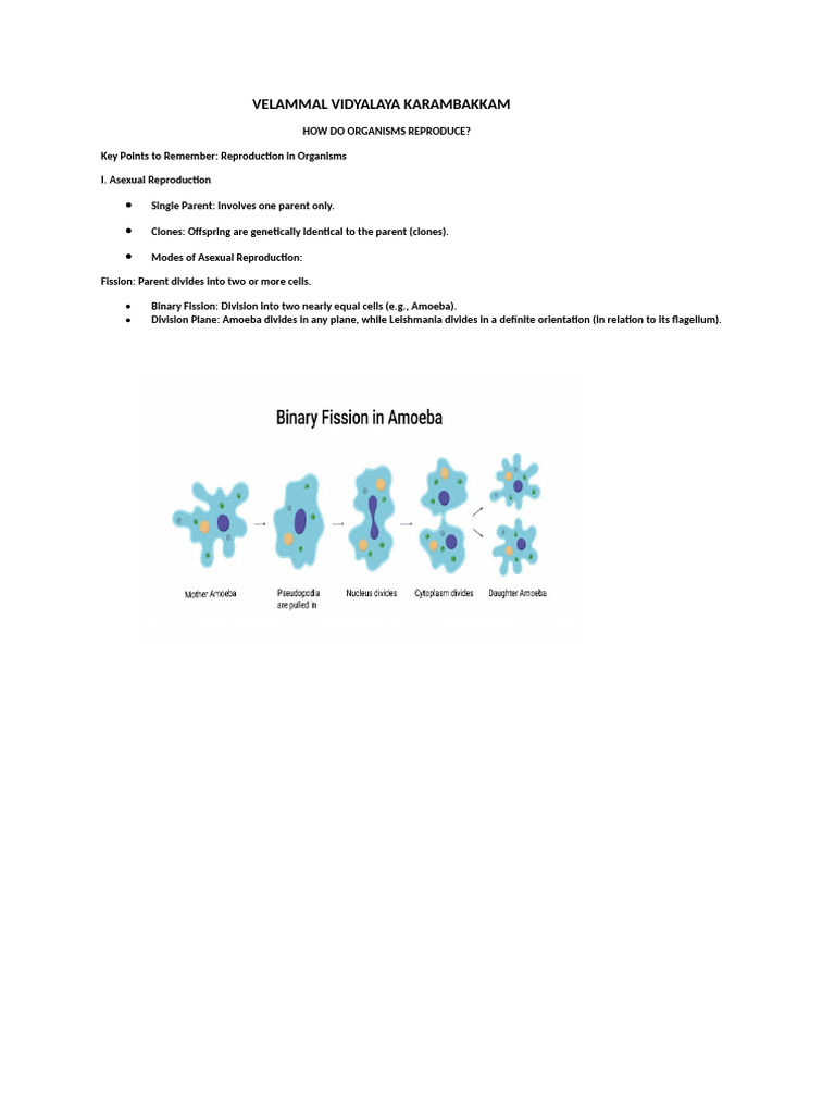 How Do Organisms Reproduce | PDF | Reproduction | Fertilisation