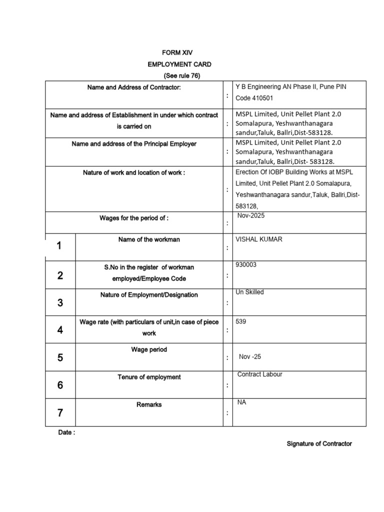 FORM XIV Employment Card Nov 2025 | PDF | Employment | Wage