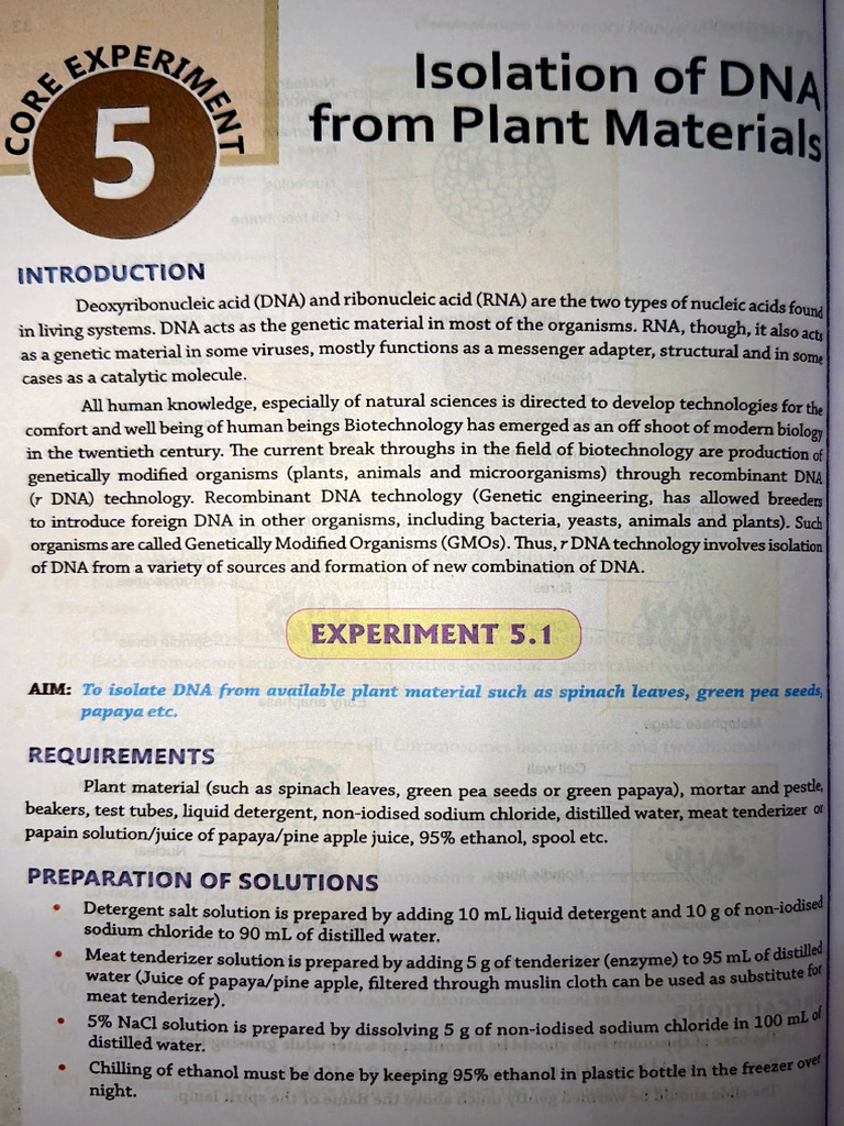 major exp | PDF | Genetic Engineering | Molecular Cloning