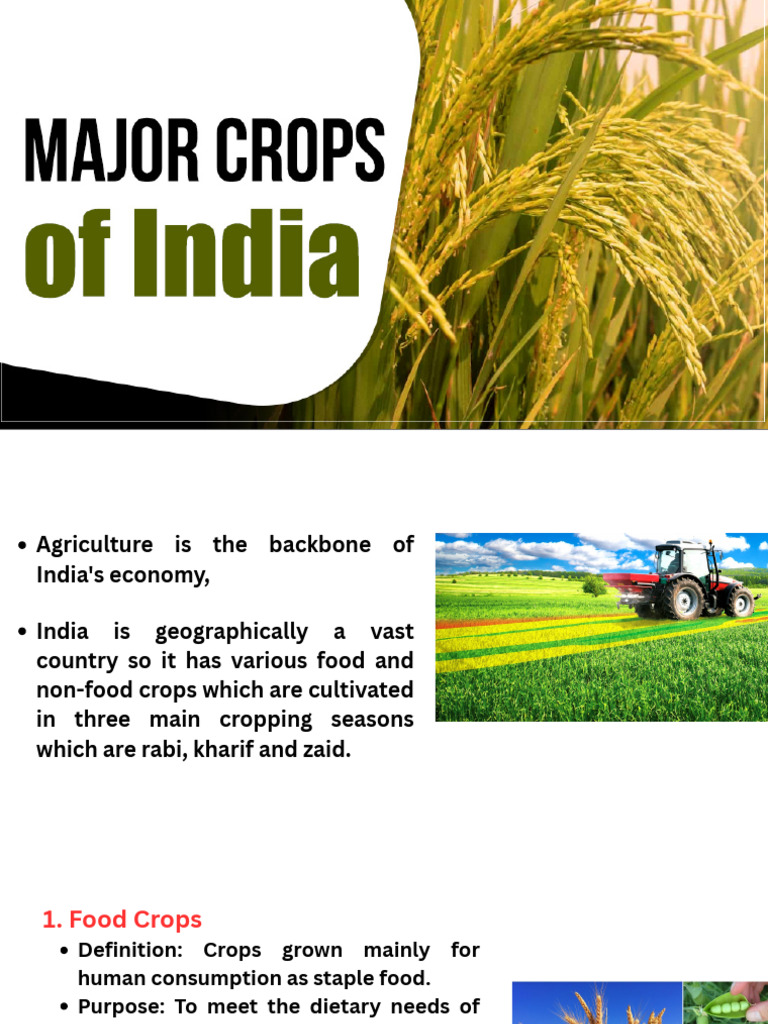 crops of india_64441255_2026_01_24_20_33 | PDF | Crops | Legume