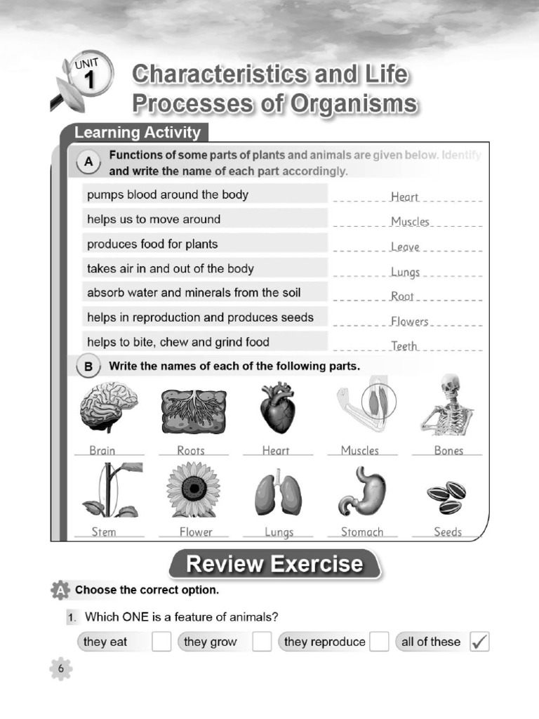 Science Grade 4 | PDF
