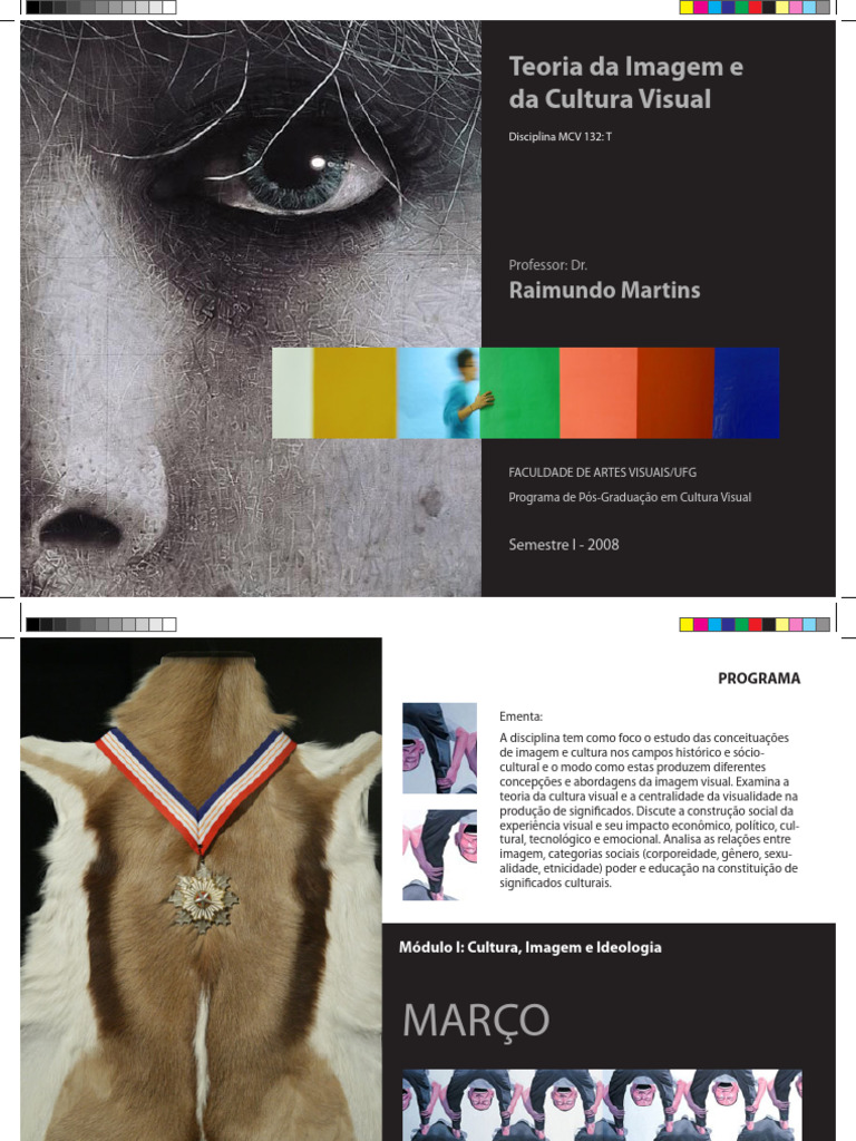 Teoria Da Imagem e Da Cultura Visual | PDF | Imagem | Aprendizado