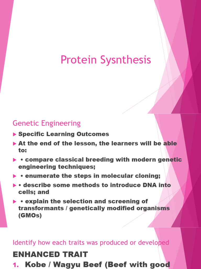 Genetic Enginnering | PDF | Plasmid | Molecular Cloning
