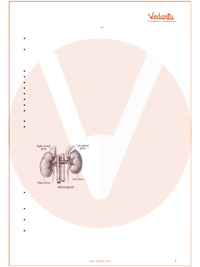 ICSE Class 10 Biology Chapter 10 - Endocrine Glands Revision Notes ...
