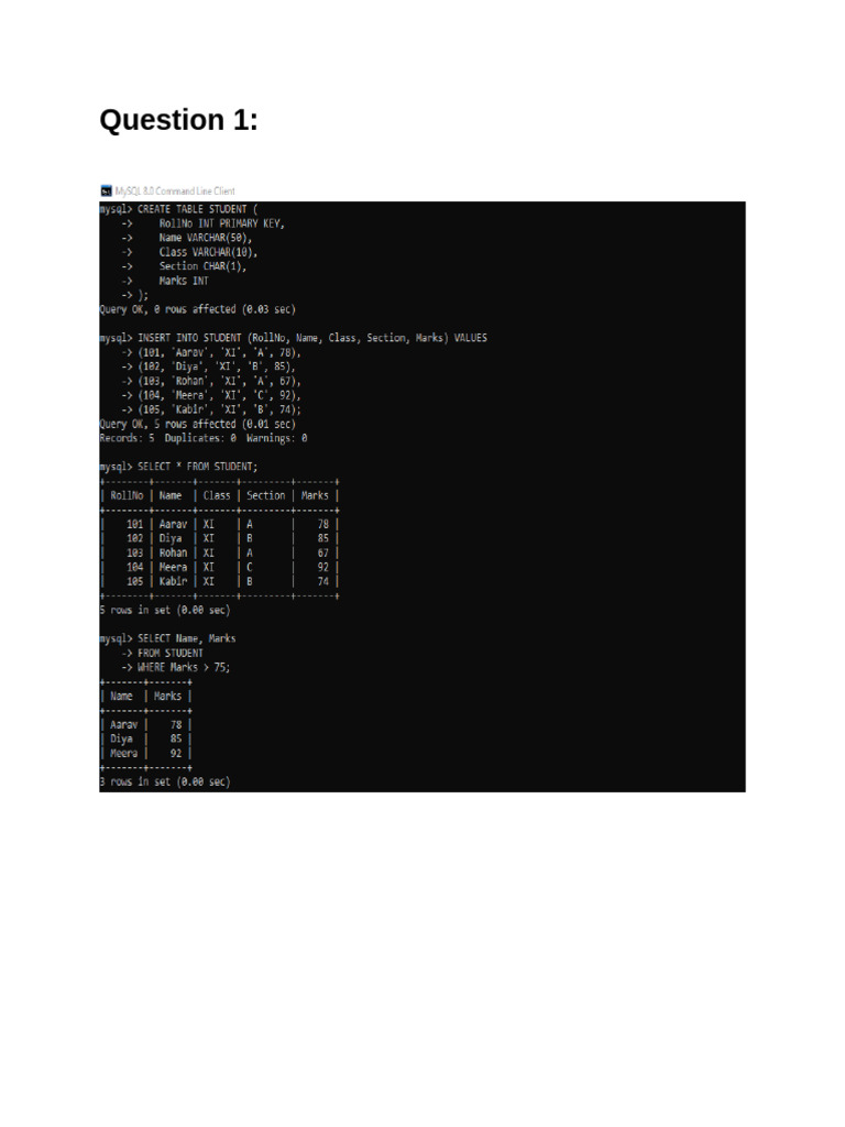 Practical File | PDF
