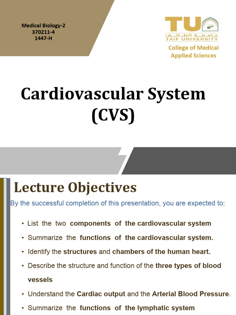 Lecture 2 Cardiovascular System&the Lymphatic PDF SALEH | PDF | Heart ...