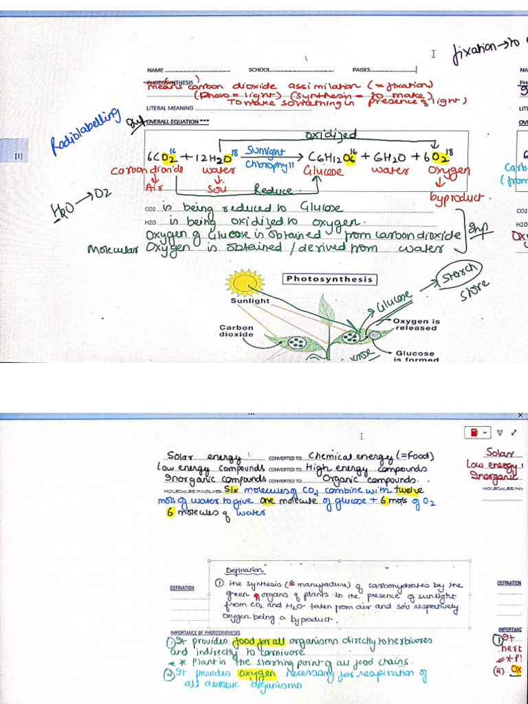 Photosynthesis Screenshots | PDF