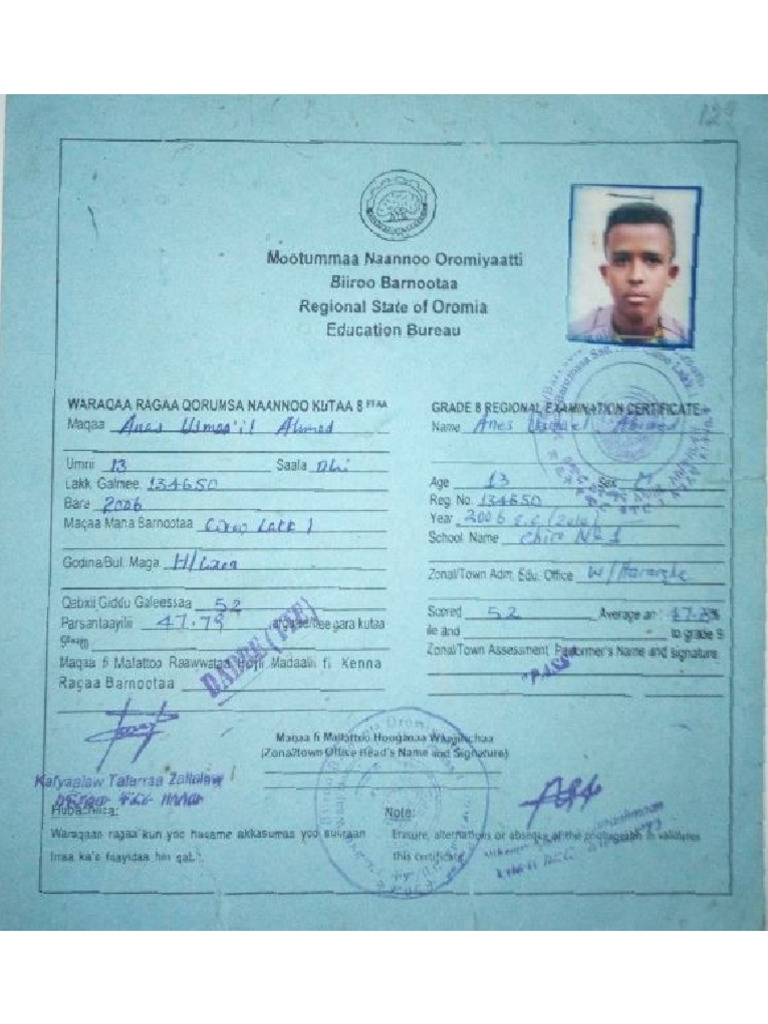 Document Ana's Usmail(1) | PDF