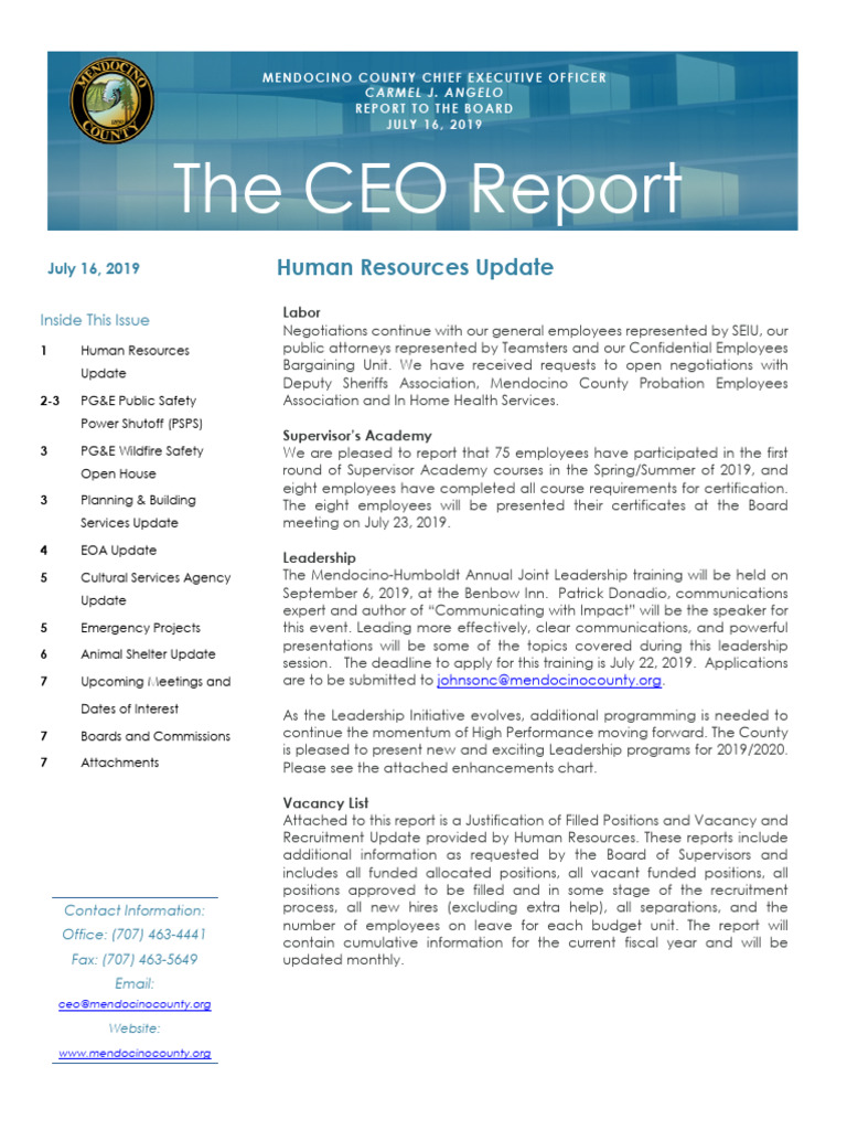 CEO Report Example | PDF | Human–Animal Interaction