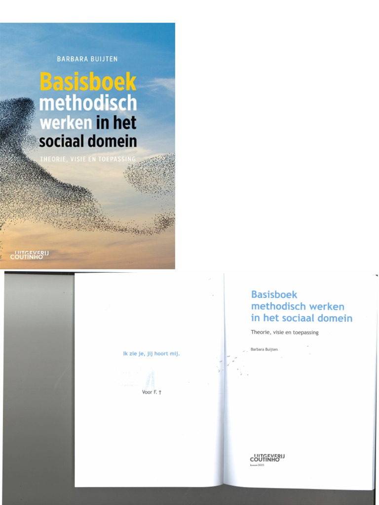 Basisboek Methodisch Werken in Het Sociaal Domein | PDF