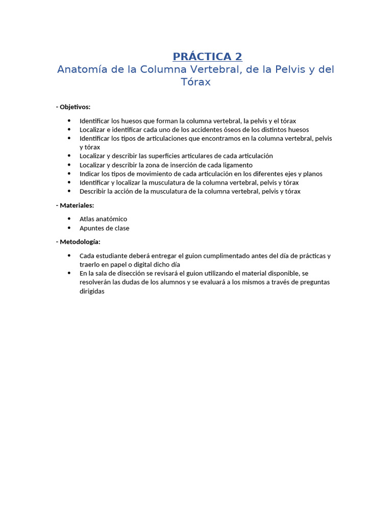 Práctica 2. Anatomía de La Columna Vertebral, Pelvis y Tórax | PDF ...