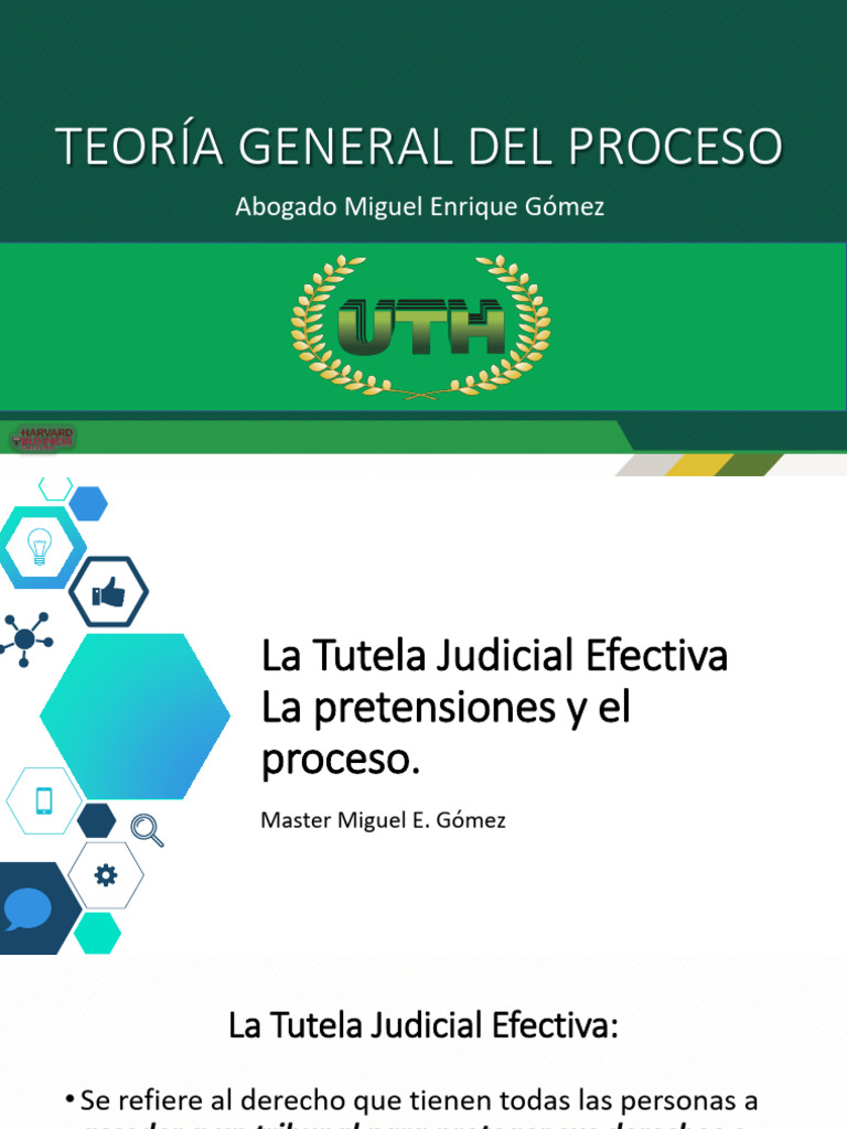 Tutela Judicial Efectiva y Derecho A La Peticion Abg. Miguel Gomez ...