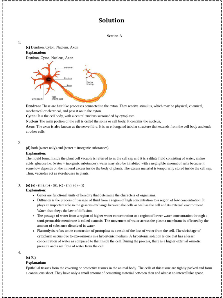 9th Science Answers MockPaper1 | PDF | Atoms | Proton
