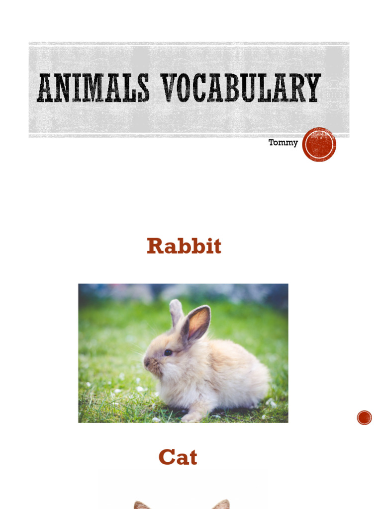 Animal | PDF