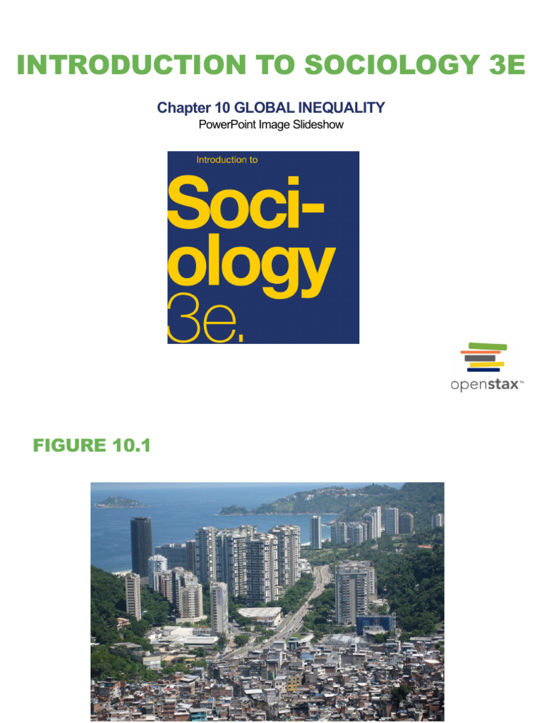 Chapter 10 Lecture Intro 3E | PDF | Economic Inequality ...