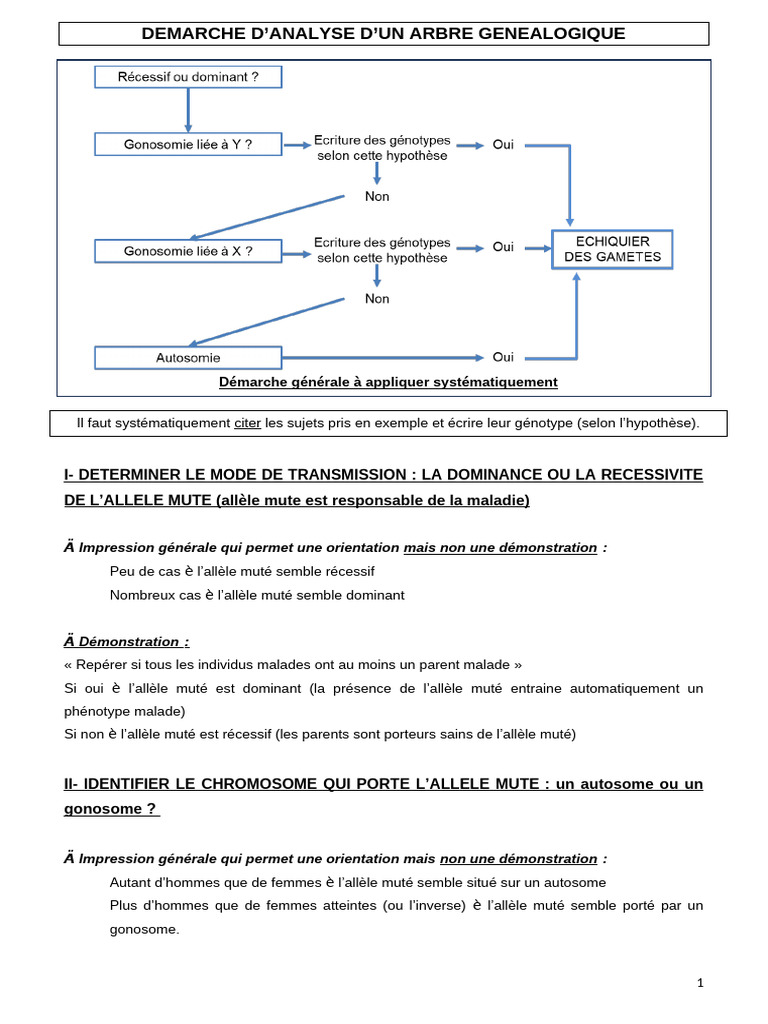 Fiche Méthode Analyse 2024 | PDF | Dominance (Génétique) | Génotype