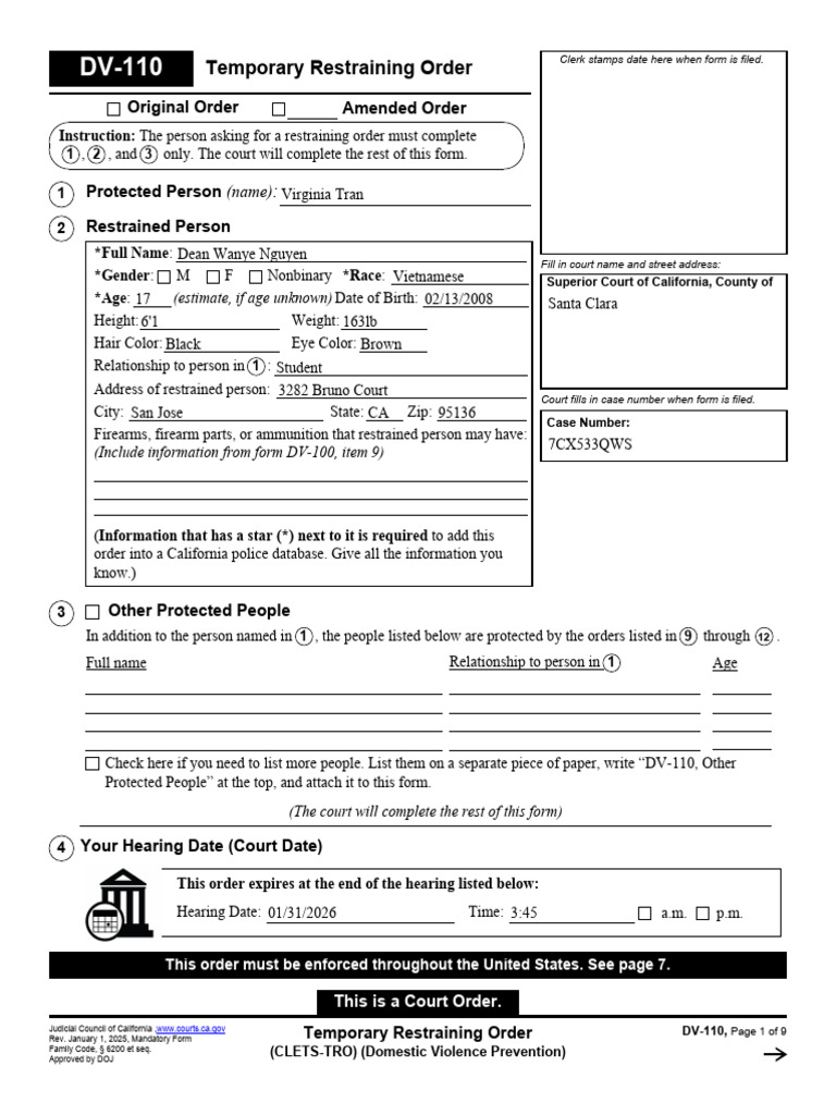 DV-110 Temporary Restraining Order (CLETS-TRO) | PDF | Restraining ...