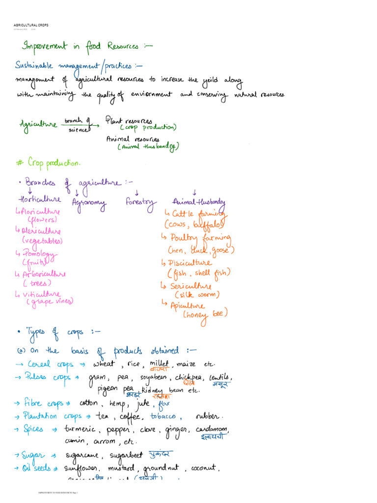 Improvement 1 | PDF