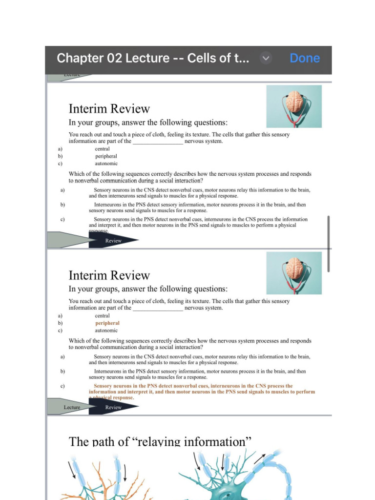 Text 5 | PDF