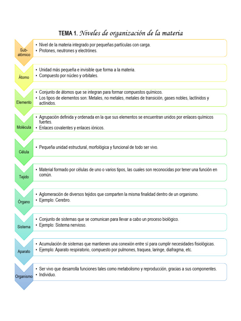 Niveles de Organización de La Materia | PDF