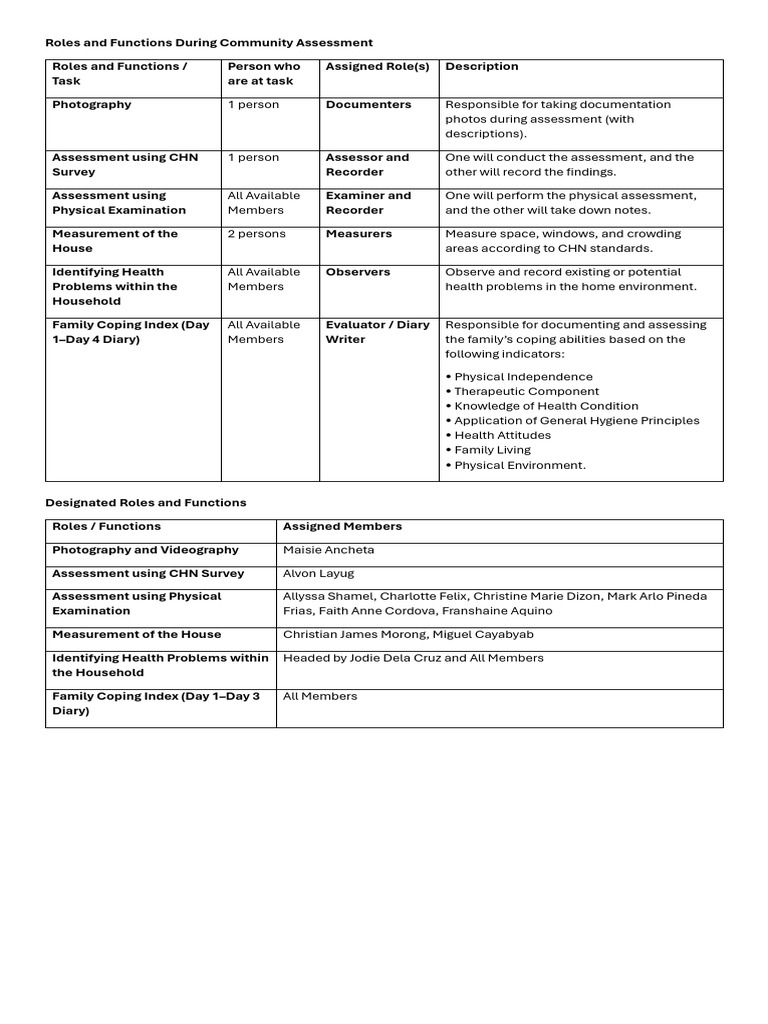 Roles and Functions During Community Assessment | PDF