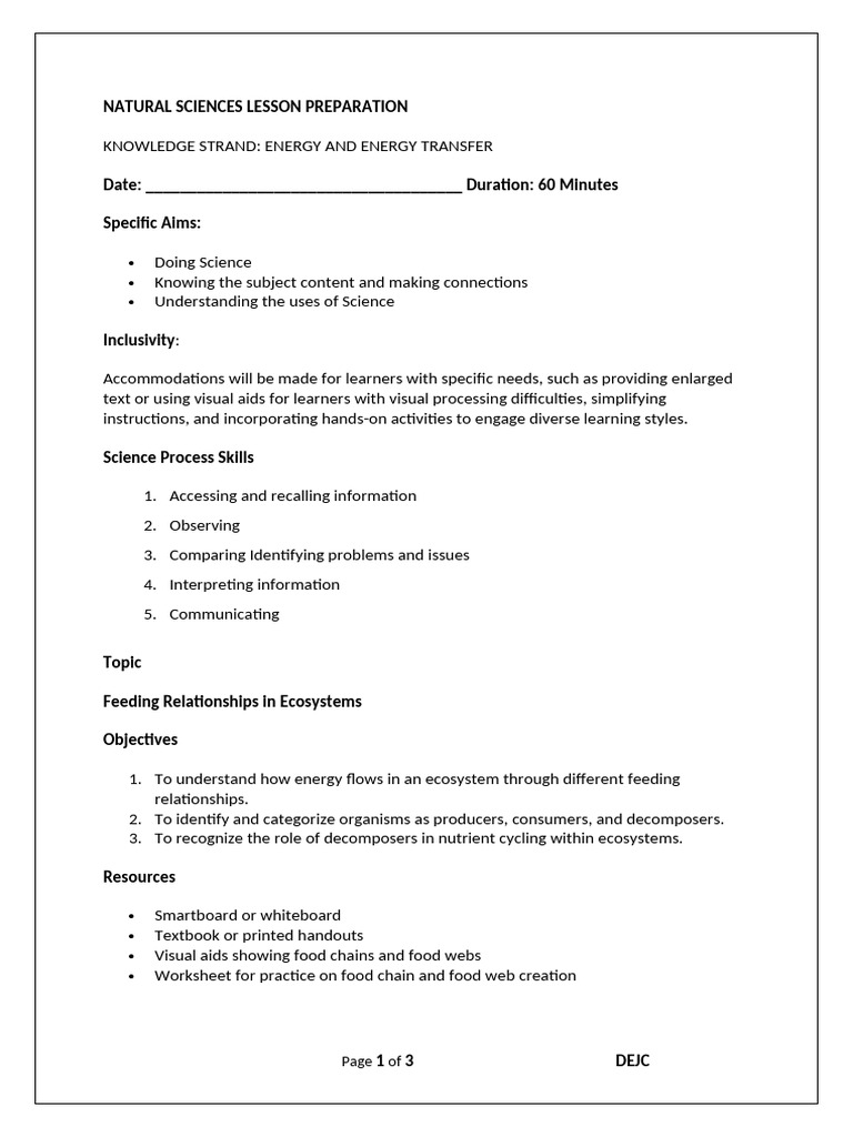 Grade 8 Natural Sciences Energy and Energy Transfer Lesson Plan | PDF ...