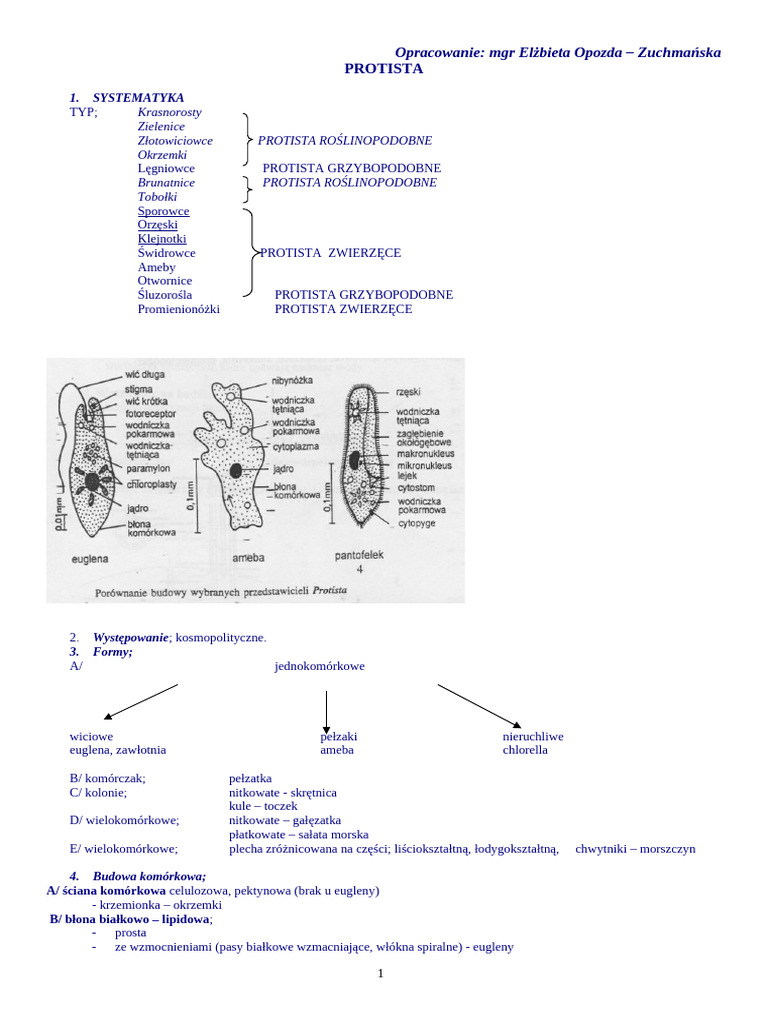 3 PROTISTY popr | PDF