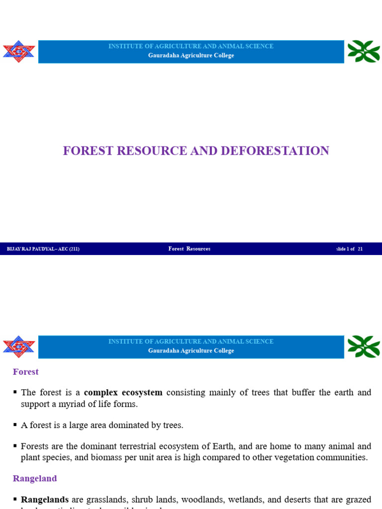 Forest Resources | PDF | Forests | Agriculture